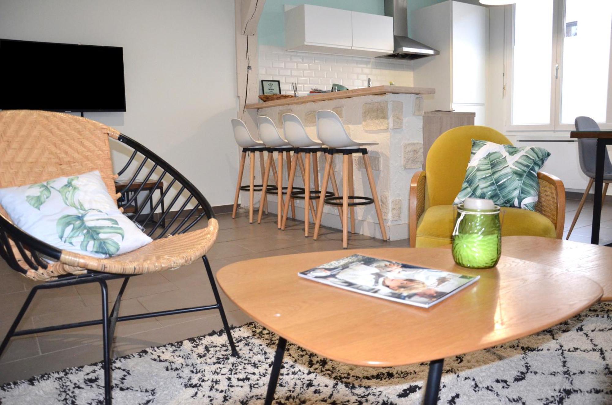 Le Cocon Troyen Appartement